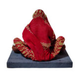 IMG20250509142313[1]-Photoroom