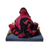 IMG20250509145134[1]-Photoroom